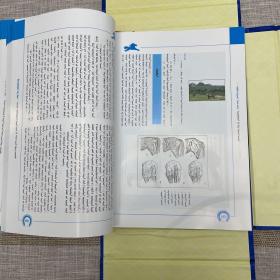 蒙古人与马：蒙古族马文化大全，附赠哈达一件，精美函册有护封