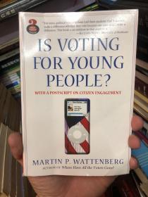 IS VOTING FOR YOUNG PEOPLE？