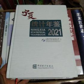 宁夏统计年间2021