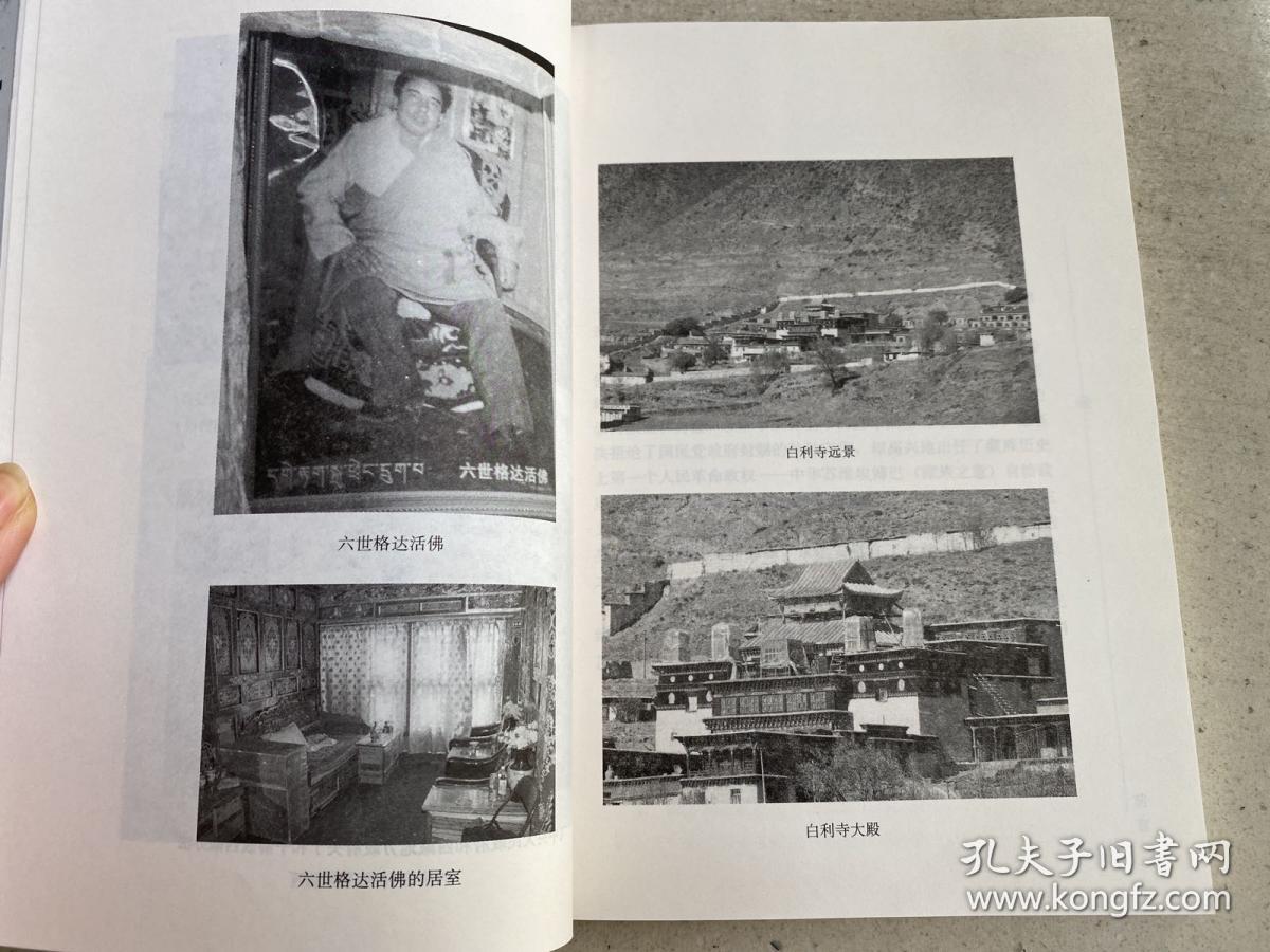 00西藏研究含藏族族源新探,吐蕃藏文针灸图释,《格萨尔王传》与噶伦