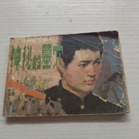 連環畫 神秘的墓穴