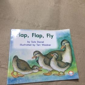 flap flap fly