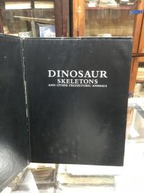 Dinosaur Skeletons and Other Prehistoric Animals   by Jinny Johnson , Elizabeth Gray   恐龙骨骼和其他史前动物