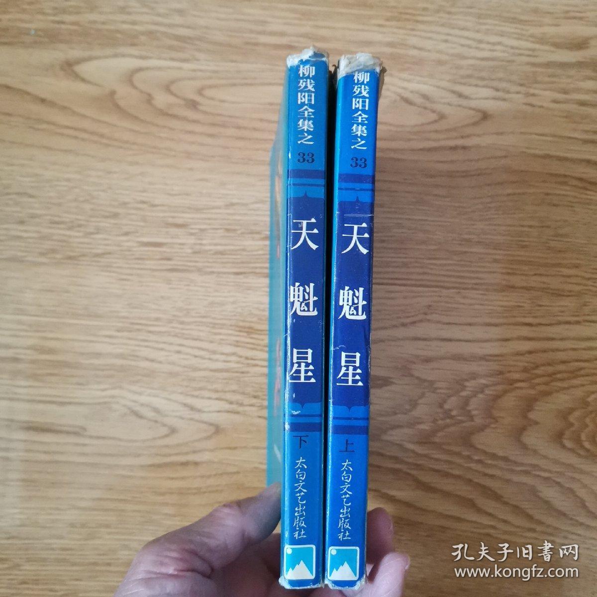 柳残阳作品全集:天魁星,全二册