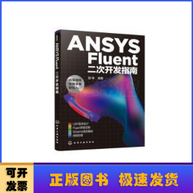 ANSYS Fluent二次开发指南