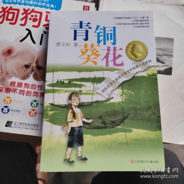 青铜葵花