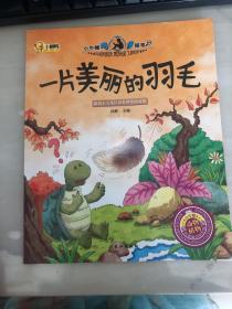 一片美丽的羽毛