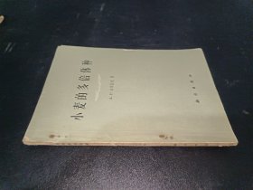 小麥的多倍體種