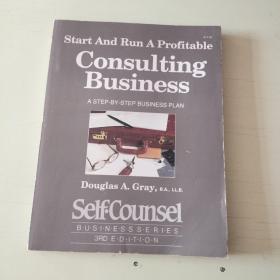 start and run a profitable consulting business 【633】
