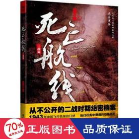 航线(1943年由中国飞行员亲自述执行任务中遭遇的诡异经历) 中国科幻,侦探小说 金万藏