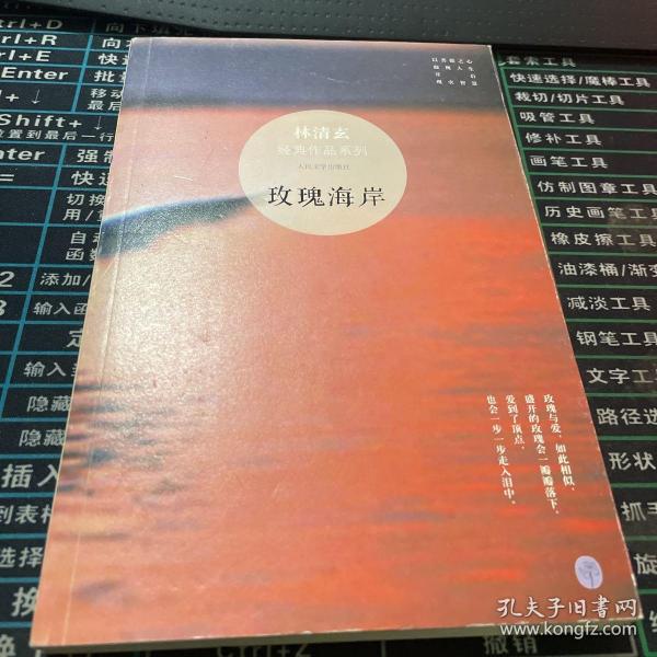 玫瑰 海岸:林清玄经典作品系列