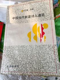 中国当代新星诗人通览