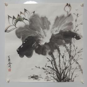 纯手绘三尺斗方国画荷花作品书画水墨画牡丹画精品字画条幅写意花鸟画
