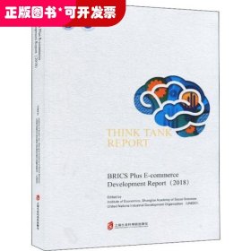 金砖+国家电子商务发展报告(2018)