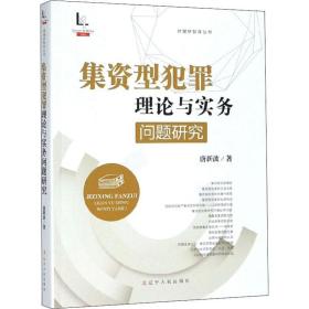 正版 集资型犯罪理论与实务问题研究 唐新波 9787205096762