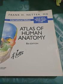 Atlas of Human Anatomy International Edition人体解剖学图谱，国际版，第六版 英文原版