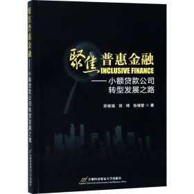 【正版书籍】聚焦普惠金融小额贷款公司转型发展之路