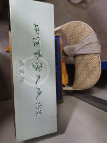 中国医学大成终集 贰 第二箱全新