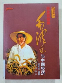 历史的回眸：毛泽东与中国经济