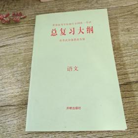 总复习大纲  语文