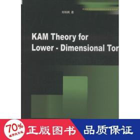 kam theory for lower - dimensional tori 管理实务 刘柏枫