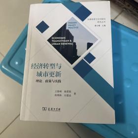 经济转型与城市更新——理论、政策与实践(交通地理与空间规划研究丛书)