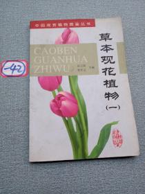 草本观花植物(1)/中国观赏植物图鉴丛书