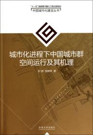 城市化进程下中国城市群空间运行及其机理/中国城市化建设丛书