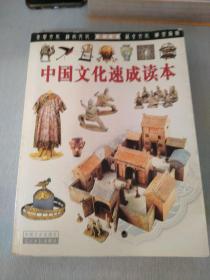 中国文化速成读本:图文版