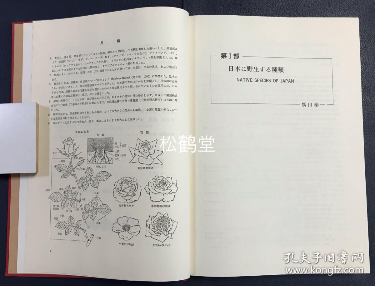 蔷薇花谱 1册全 日文原名 ばら花譜 和本 有原函 19年初版 著者签名本 赠呈本 著者铃木省三赠与六中蔷薇会会长近藤宣明本 图录 160种蔷薇 花谱及解说文等 分为日本野生种类 原种及原种杂交种 现代玫瑰等部分 日本植物画先驱者二口善雄画 铃木省三等解说 蔷薇花谱 1册全 日文原名 ばら花譜 和本 有原函 19年初版 著者签名本 赠呈本 著者铃木省三赠与六中蔷薇会会长近藤宣明本 图录 160种蔷薇 花谱及解说文等 分为日本野生种类 原种及原种杂交种 现代玫瑰等部分 日本植物画先驱者二口善雄画 铃木省三等解说