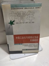 中国工业化与城镇化互动发展研究（中青年经济学家文库）