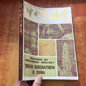 中国震旦亚界