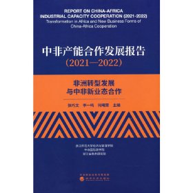 中非产能合作发展报告（202—22）--非洲转型发展与中非新业态合作