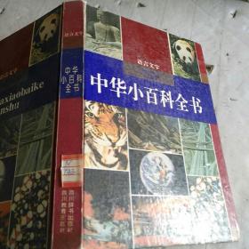 中华小百科全书 语言文字