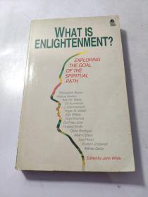 WHAT IS ENLIGHTENMET