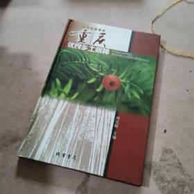 重庆优良乡土树种