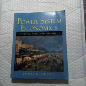 Power System Economics：Designing Markets for Electricity