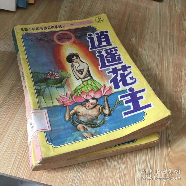 龙骧子新派奇情武侠系列: 逍遥 花 主 上 中 两册 合售 馆藏 无笔迹