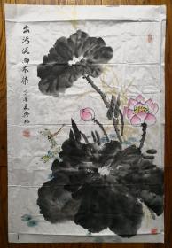 姚兴邦荷花蜻蜓图软片