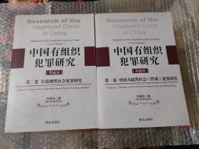 中国有组织犯罪研究 （两卷本）