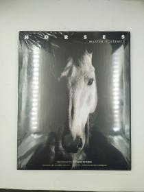 Horses: Master Portraits 马的摄影 样板间装饰 真书摆件