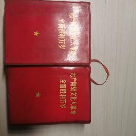 无产阶级文化大革命全面胜利万岁（上下）