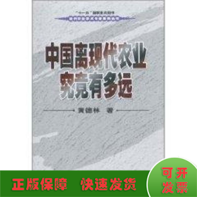 中国离现代农业究竟有多远/当代农业学术专著系列丛书