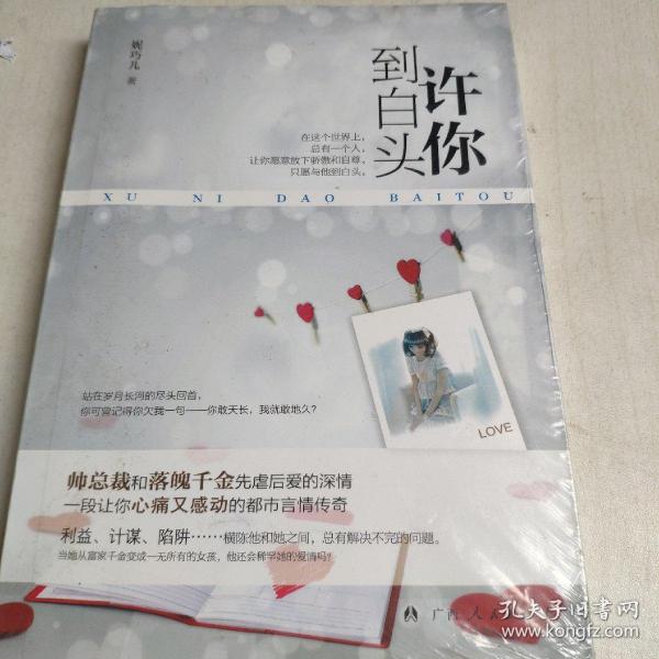 《许你到白头》（帅总裁和落魄千金先虐后爱的深情！一段让你心痛又感动