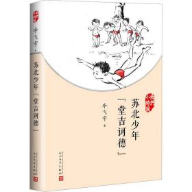 苏北少年"堂吉诃德" 9787020126941