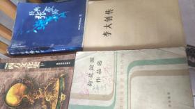 荷花淀派作品选，中国现代文学流派创作选