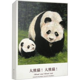 新华正版 大熊猫!大熊猫! 张玲 9787521918595 中国林业出版社