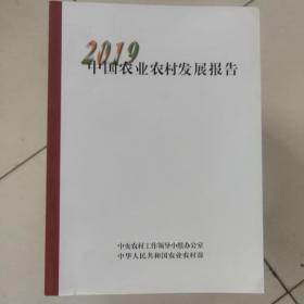 中国农业农村发展报告2019