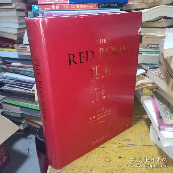 红书 荣格