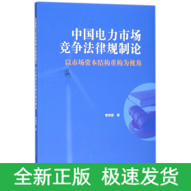 中国电力市场竞争法律规制论(以市场资本结构重构为视角)